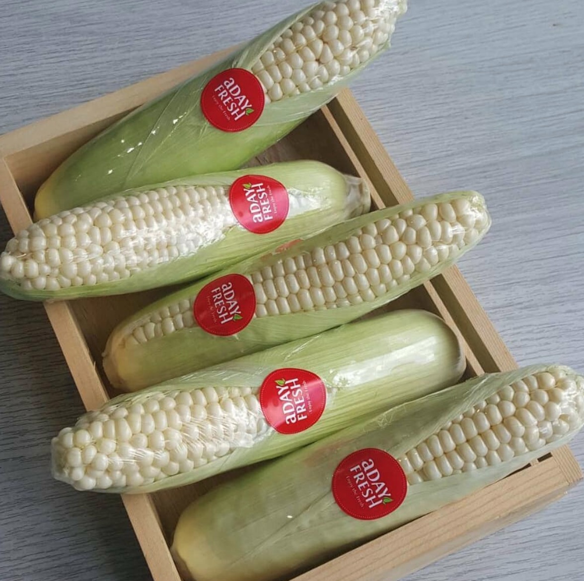 MÀNG BỌC THỰC PHẨM 45CM X 300M